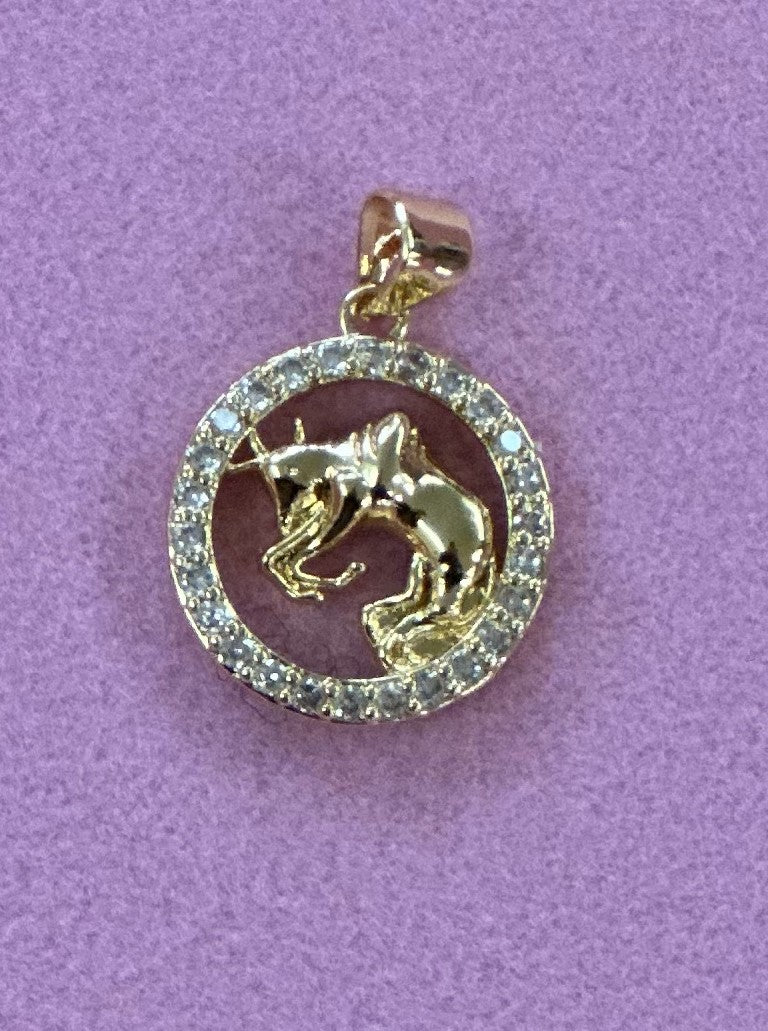 XL Crystal Zodiac Charm