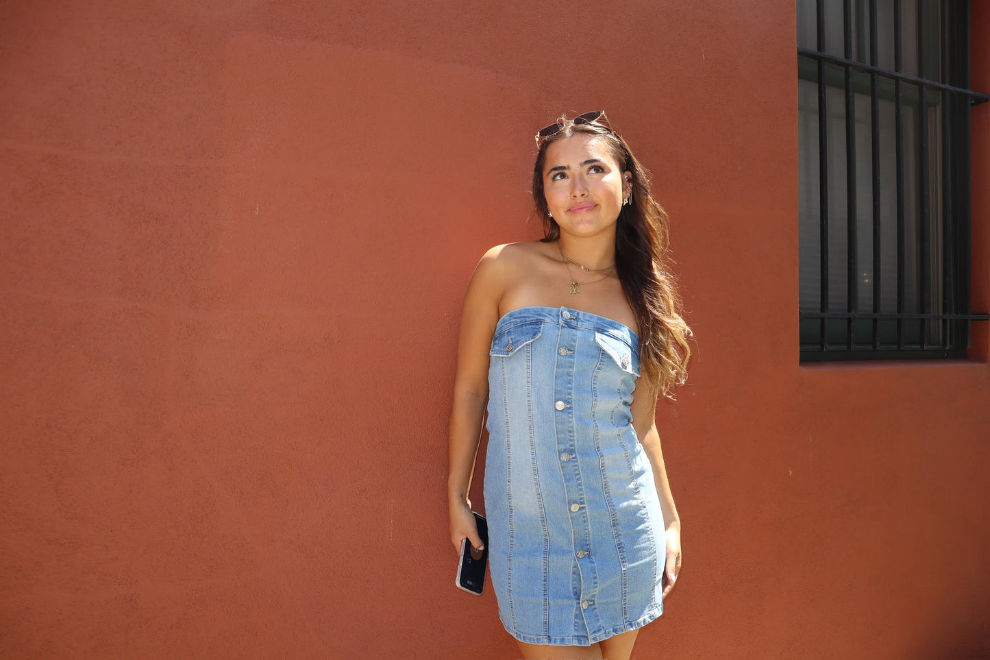 Andi Denim Dress