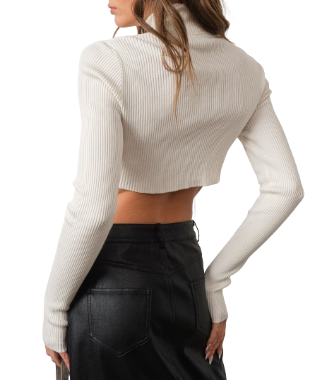 Sena Crop Top